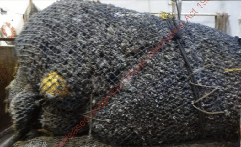 Bottom trawling continues to cause large scale destruction in the Pacific 